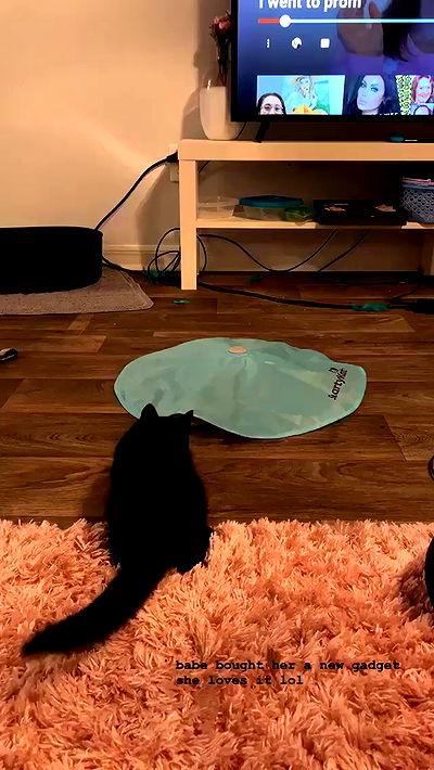 suikomuu suikomuu archive video