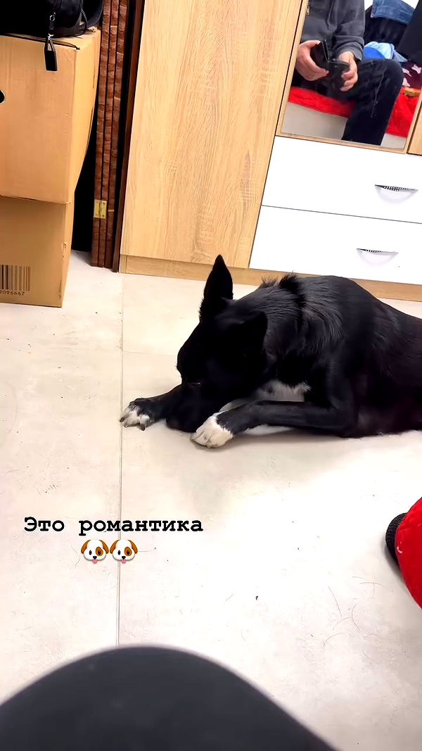 _.shelichka._ archive video preview
