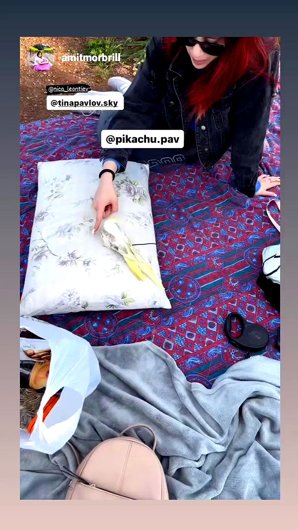 tinapavlov.sky archive video preview