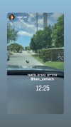 ben_zemach Altpins Profile Picture