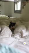 evasela__ Altpins Profile Picture