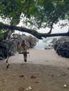 lishai_halevi Altpins Profile Picture
