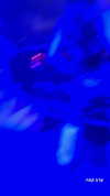biton__adi Altpins Profile Picture