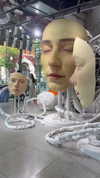 shay_livni Altpins Profile Picture