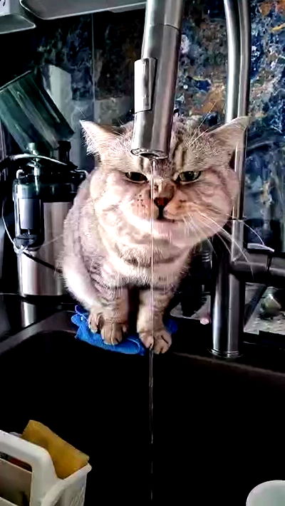 yuri.gever yuri.gever archive video