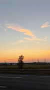 yuval5570 Altpins Profile Picture