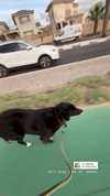 katia_z.k Altpins Profile Picture