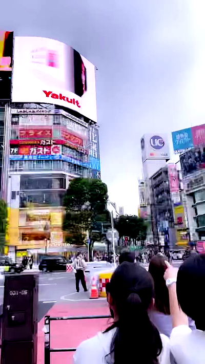 silkton silkton archive video