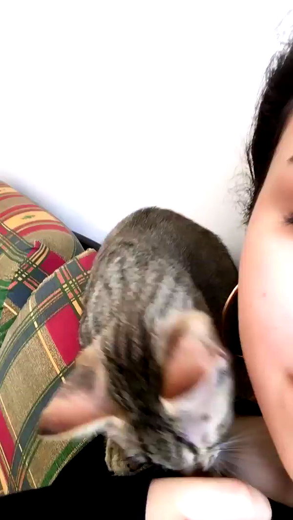 evasela__ archive video preview