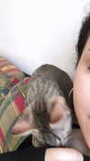 evasela__ Altpins Profile Picture