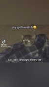 bunnyhazed Altpins Profile Picture