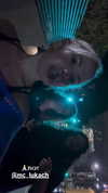 roni_ackerman Altpins Profile Picture