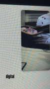 hoodifruit Altpins Profile Picture