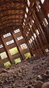 mrspig96 Altpins Profile Picture