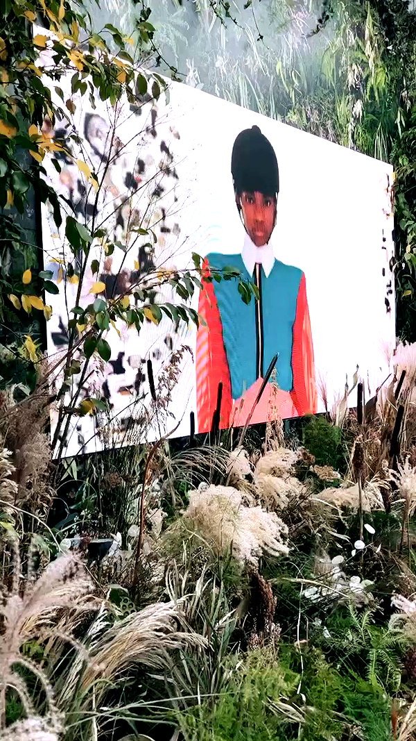 barzomer archive video preview