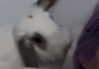 danielle.mercedie Altpins Profile Picture