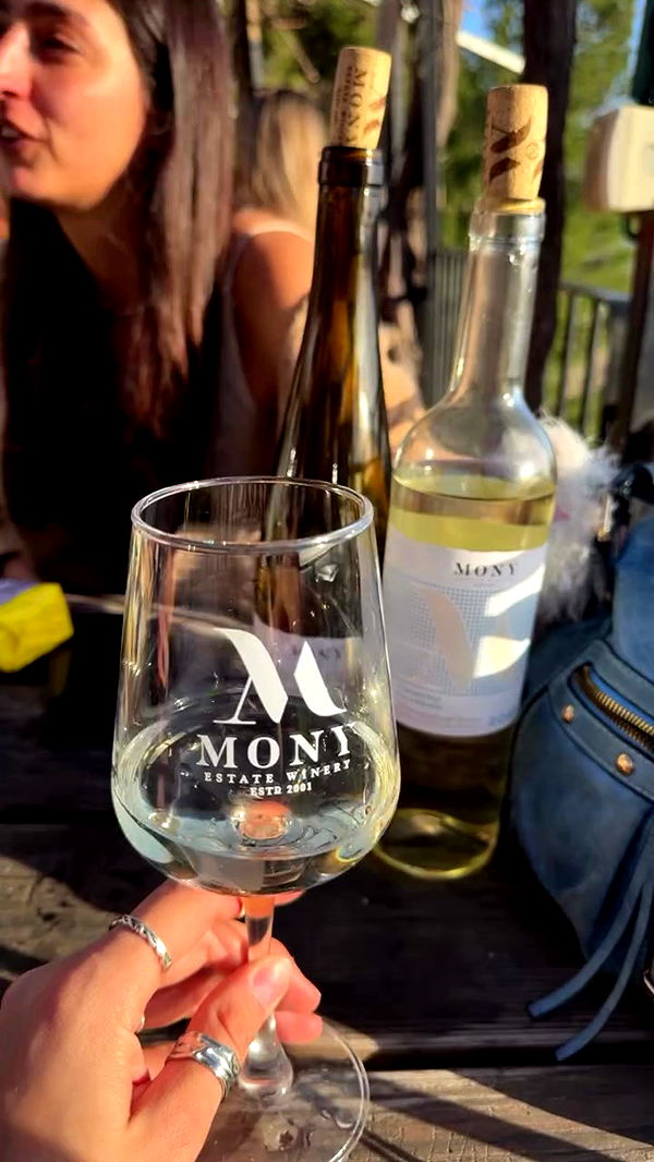 biton__adi archive video preview