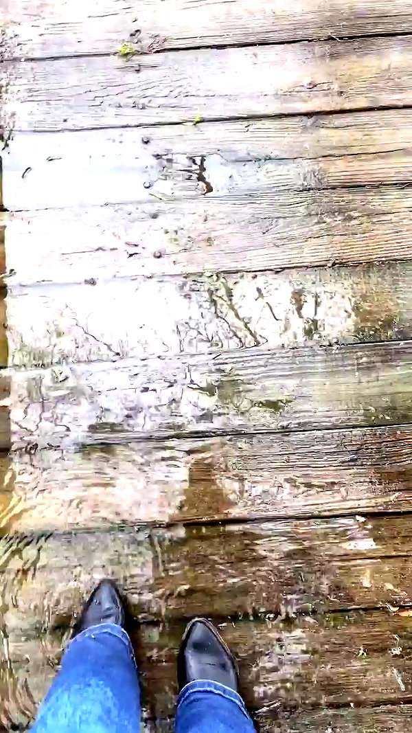 elizabethcampbelljones archive video preview