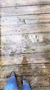 elizabethcampbelljones Altpins Profile Picture
