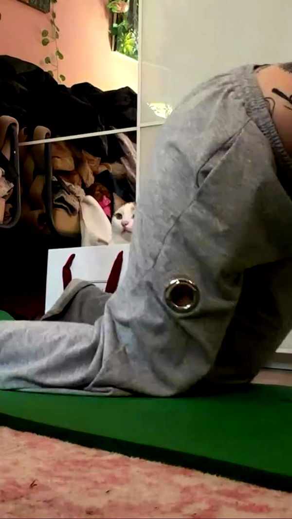 strawberryshanz archive video preview