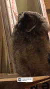 hoodifruit Altpins Profile Picture