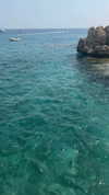 msss__annais Altpins Profile Picture