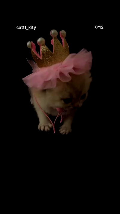 tatum.ricee tatum.ricee archive video