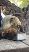 feelbetterinmysweater Altpins Profile Picture