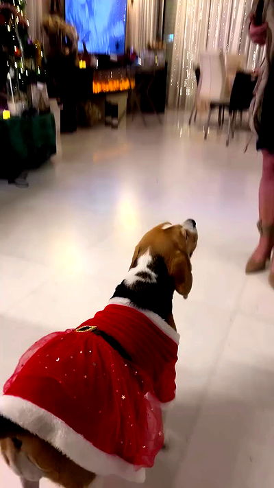 emily.otaku emily.otaku archive video