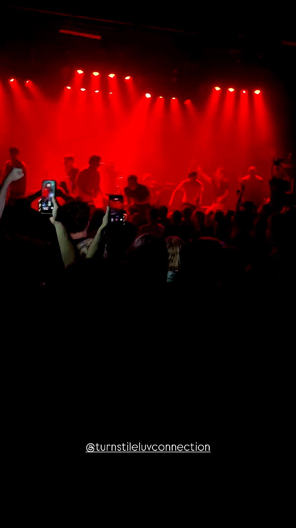 fungusfr0g archive video preview