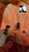 evasela__ Altpins Profile Picture