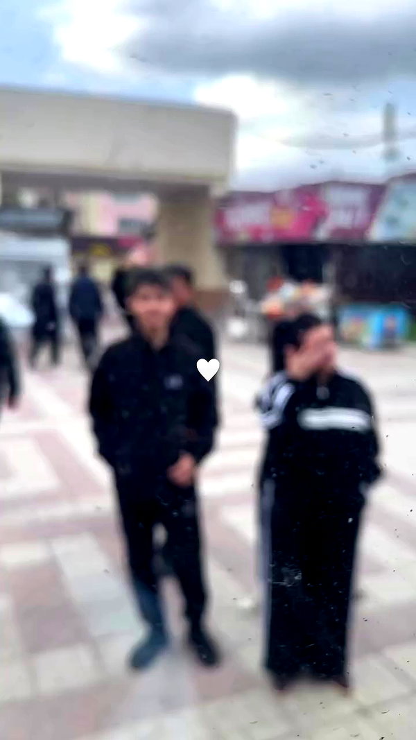 vvvierness archive video preview