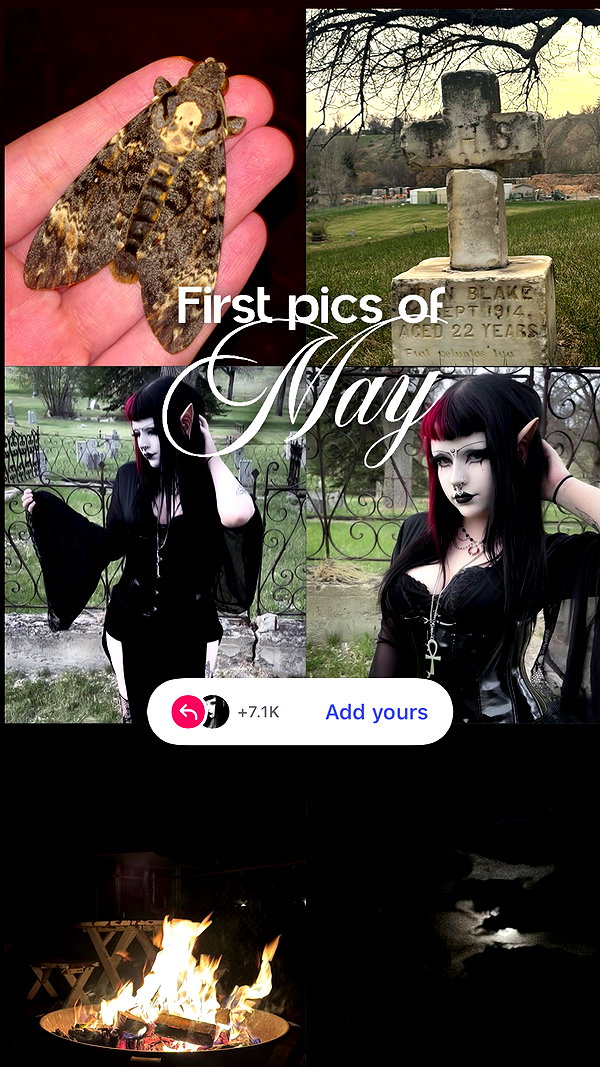 kittenfangsxx archive video preview