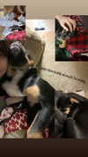 reanidays.cos Altpins Profile Picture