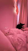 missy.y._ Altpins Profile Picture