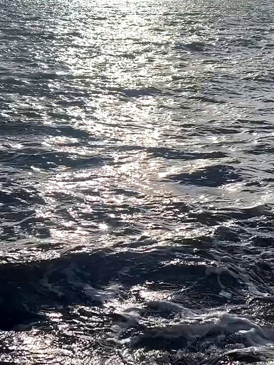 ellachristo archive video preview