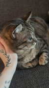 h0llyannabel Altpins Profile Picture