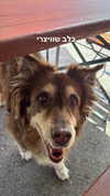 lotembar Altpins Profile Picture
