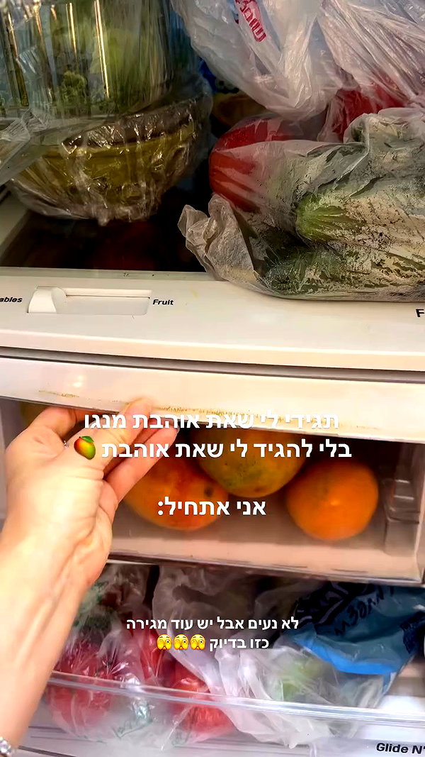 lital.oss archive video preview