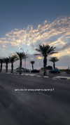 topaz_bn Altpins Profile Picture