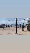 martinagiiuliani Altpins Profile Picture