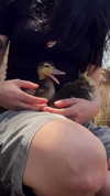 feelbetterinmysweater Altpins Profile Picture