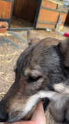 katia_z.k Altpins Profile Picture