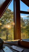 rouxroux.tv Altpins Profile Picture