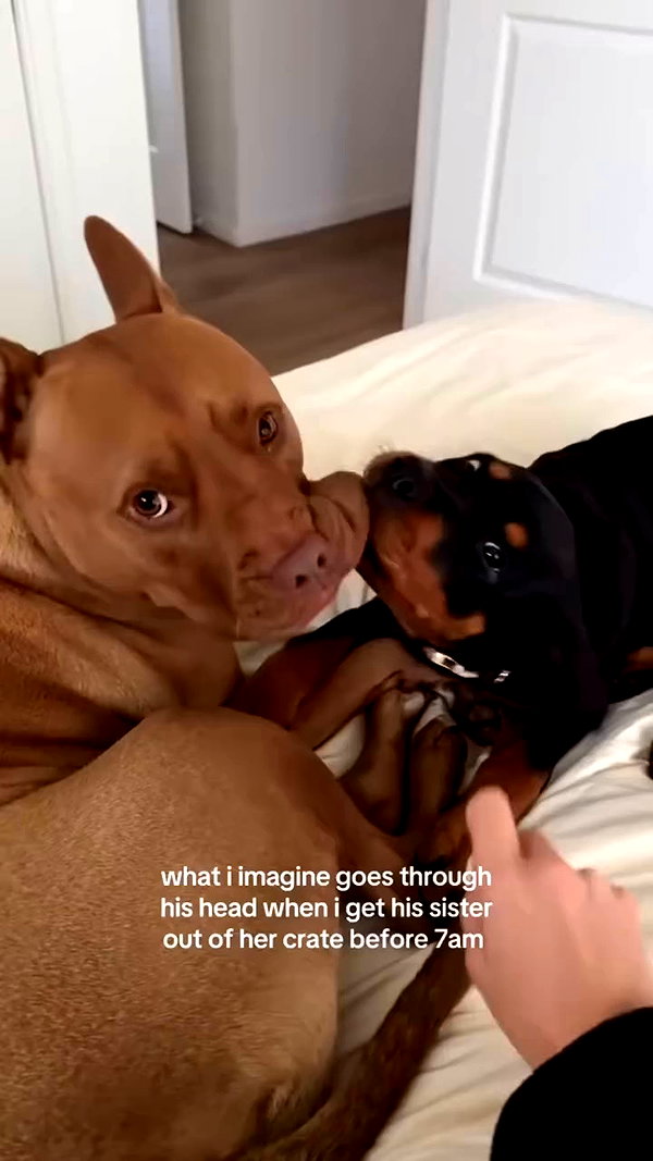 olivia.mathers archive video preview