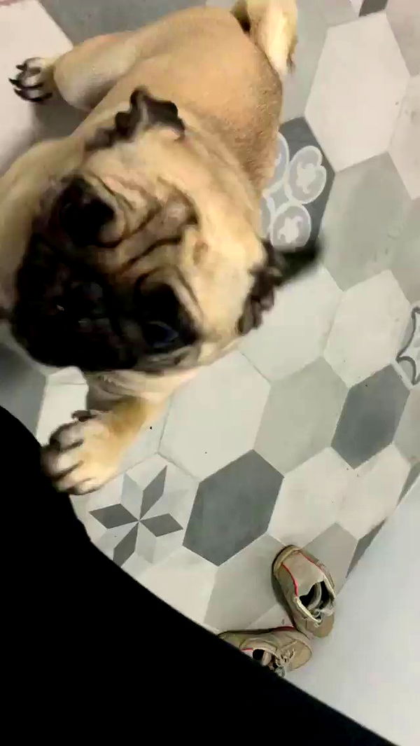 nyityam archive video preview