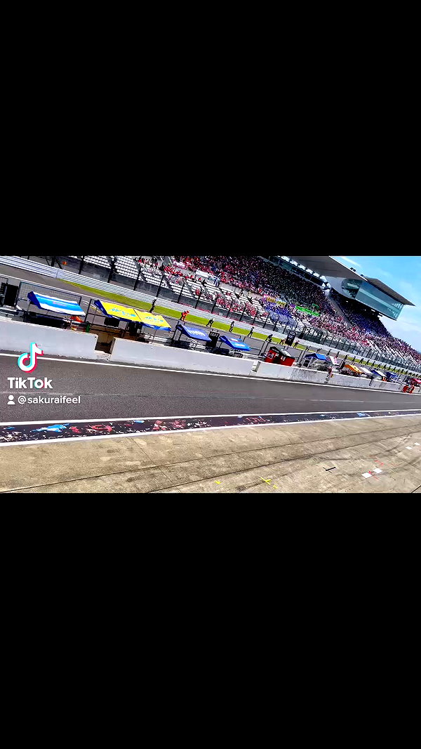lapinangelia archive video preview