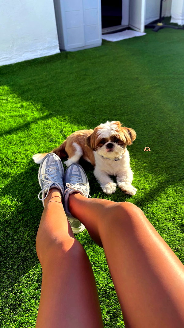 noammalka___ archive video preview