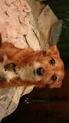 bat.wiings Altpins Profile Picture