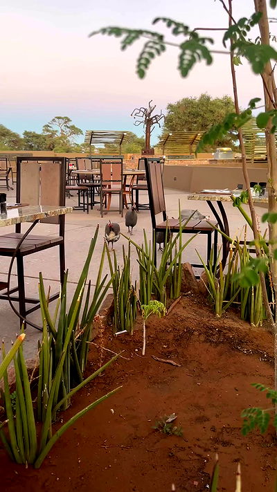 taylor.creeden taylor.creeden archive video